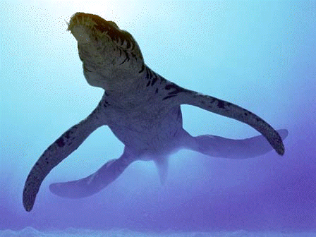 File:Liopleurodon.gif